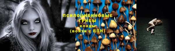 сатива Нефтегорск
