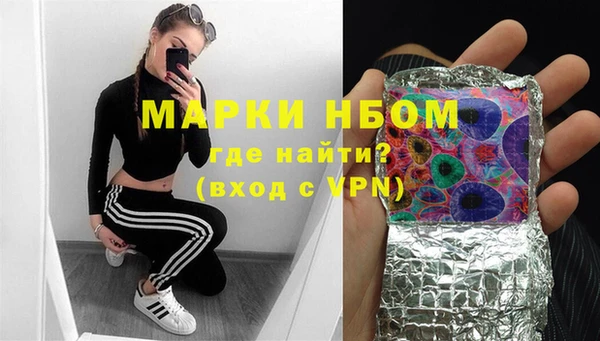 амф Новодвинск