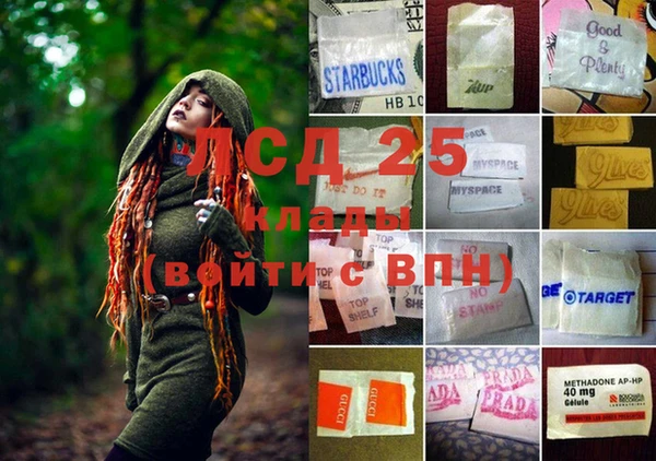 шишки Артём