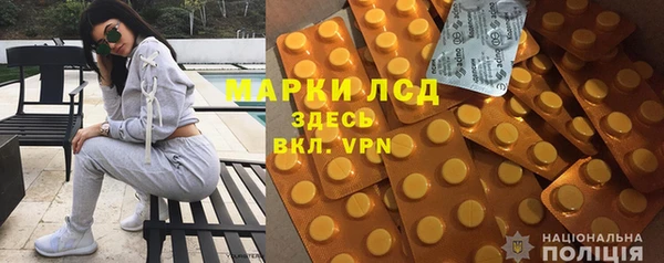 амф Новодвинск