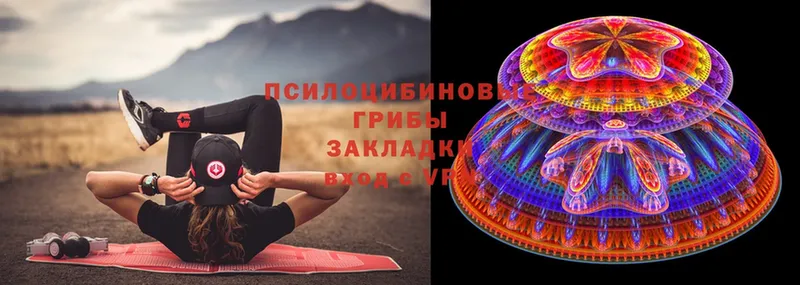 Галлюциногенные грибы MAGIC MUSHROOMS  Алатырь 