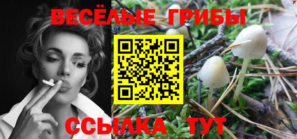Псилоцибиновые грибы Magic Shrooms Алатырь
