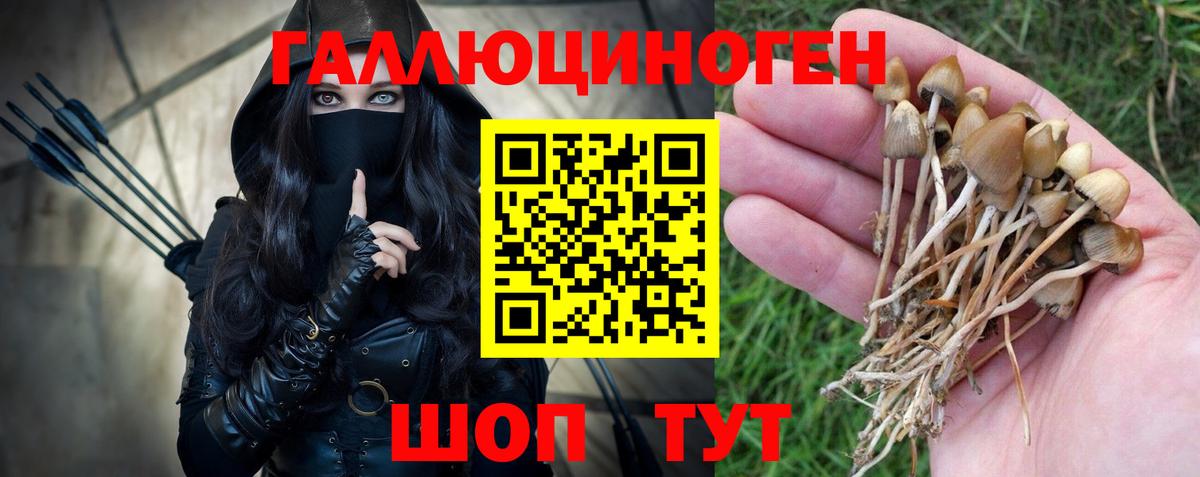 Галлюциногенные грибы мицелий  Алатырь 