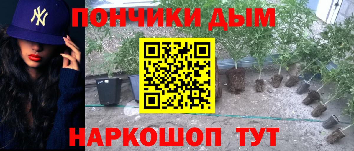 МАРИХУАНА планчик Алатырь